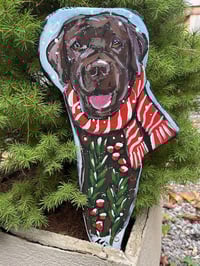 Image 1 of Holiday Garden Lab Fairy chocolate stripe