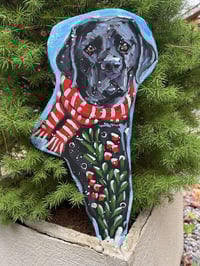 Image 1 of Holiday Garden Lab Fairy  Black stripe