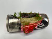 Image 2 of Paint the Town Red