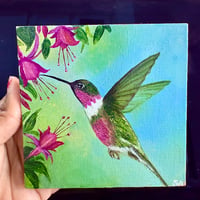 Image 1 of Hummingbird in Flight