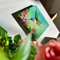 Image 2 of Hummingbird in Flight