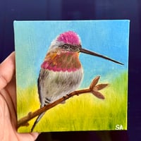 Image 1 of Hummingbird at Rest