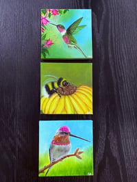 Image 3 of Hummingbird at Rest