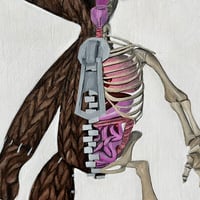 Image 2 of Skeleton Sackboy Painting