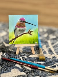 Image 2 of Hummingbird at Rest