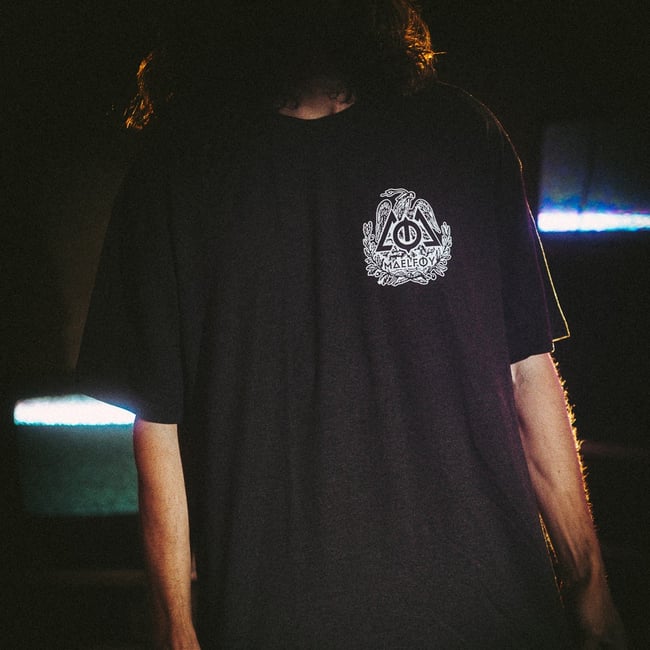 T-Shirt "Snake & Eagle" Grey