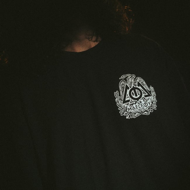 T-Shirt "Snake & Eagle" Grey