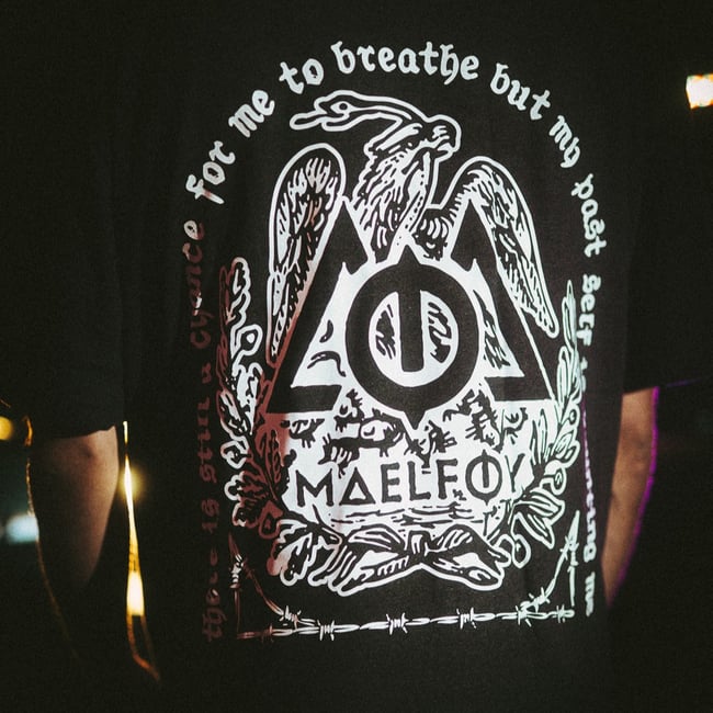 T-Shirt "Snake & Eagle" Grey