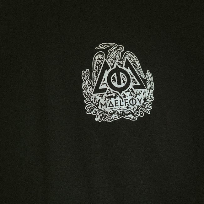 T-Shirt "Snake & Eagle" Grey