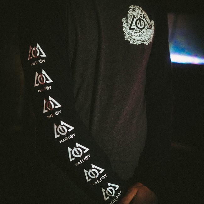 Longsleeve "Snake & Eagle" Grey