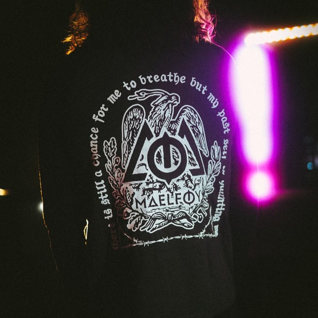 Longsleeve "Snake & Eagle" Grey