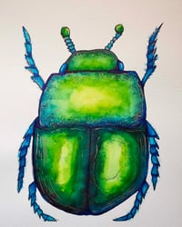 Beetle 2.0