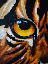 Eye of the Tiger