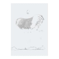 Image 1 of OBJECT - Cover Picture