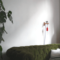 Image 6 of Huitrier Pie 2