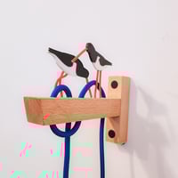 Image 4 of Huitrier Pie 1