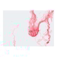 Image 3 of OBJECT - 33