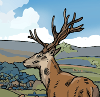 Image 2 of The Deer (Print)