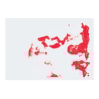 Image 3 of OBJECT - 51