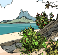 Image 3 of Bow man (Print)