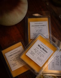 Image 14 of Beeswax Holiday Wax Melts
