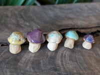 Image 1 of Mini Mushrooms