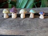 Image 3 of Mini Mushrooms