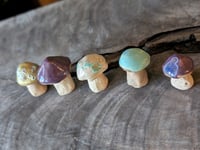 Image 4 of Mini Mushrooms