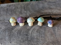 Image 5 of Mini Mushrooms
