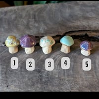 Image 2 of Mini Mushrooms