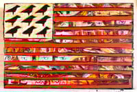 Image 1 of Dark Bird Flag