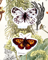Image 1 of British butterflies stickers