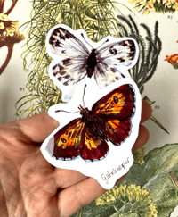 Image 2 of British butterflies stickers