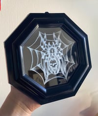 *PRE-ORDER* SPIDER*WEB
