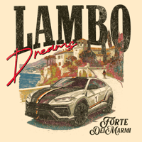 Image 5 of Dom@ Co. "LAMBO DREAMS" Lux Tee