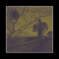 PRISONNIER DU TEMPS - 'Comme Un Lion En Cage' 12" LP (EURO Version)