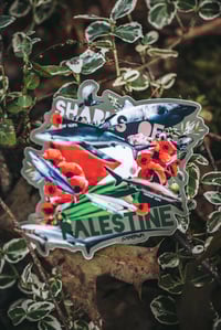 Image 1 of SHARKS OF stickers