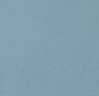 Image 9 of HIERONYMUS BOSCH (ICE BLUE LONG SLEEVE)