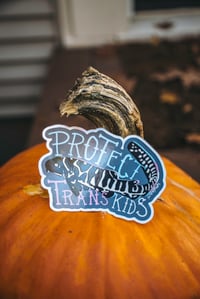Image 1 of PROTECT TRANS KIDS sticker
