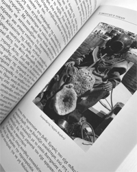 Image 3 of 'Η ΣΦΟΥΓΓΑΡΙ Ή ΤΟΜΑΡΙ 