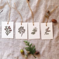 Image 2 of Tina Sosna -  Gift Tags Set Winter Twigs Christmas