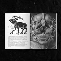 Image 2 of “All Things Dark”