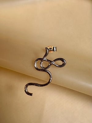 Image of "Rat Tails" molten earring