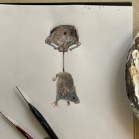 Image 3 of Mice in Wall ~ Removable Wall stickers