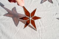 Image 1 of Cinnamon Star