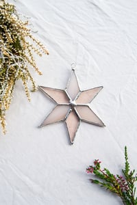 Winterberry  Celestine Star