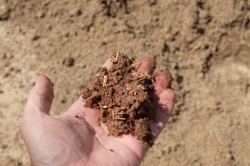 Image of History & Basics of Adobe Construction 2026 (Online)