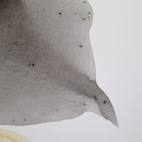 Image 3 of l'oiseau de bon augure