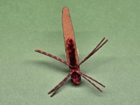 Image of Leech/"Ned" Fly Tails