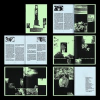 I SHALL BE REBORN: HOMAGE TO 'LILIES' (ARTIST BOOK)